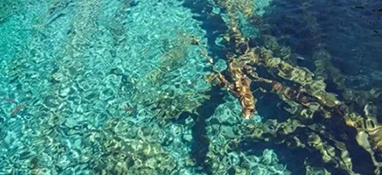 實(shí)驗室儀器設(shè)備